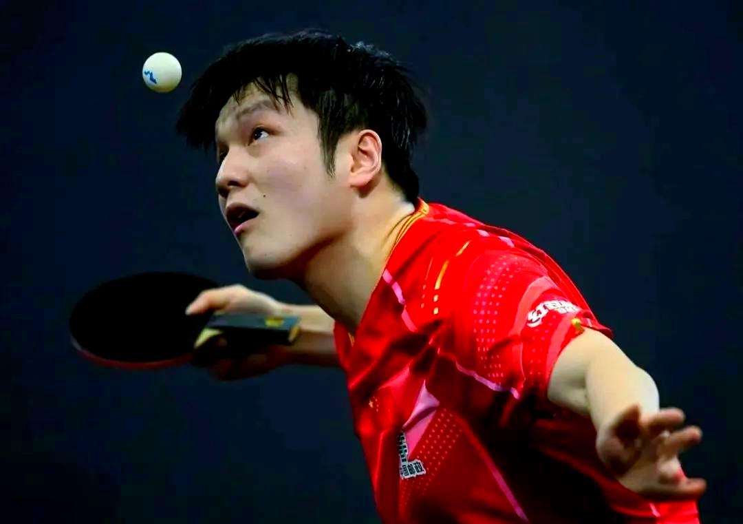 关于瑞典乒乓球队血洗波兰乒乓球队，樊振东惊艳世界的信息