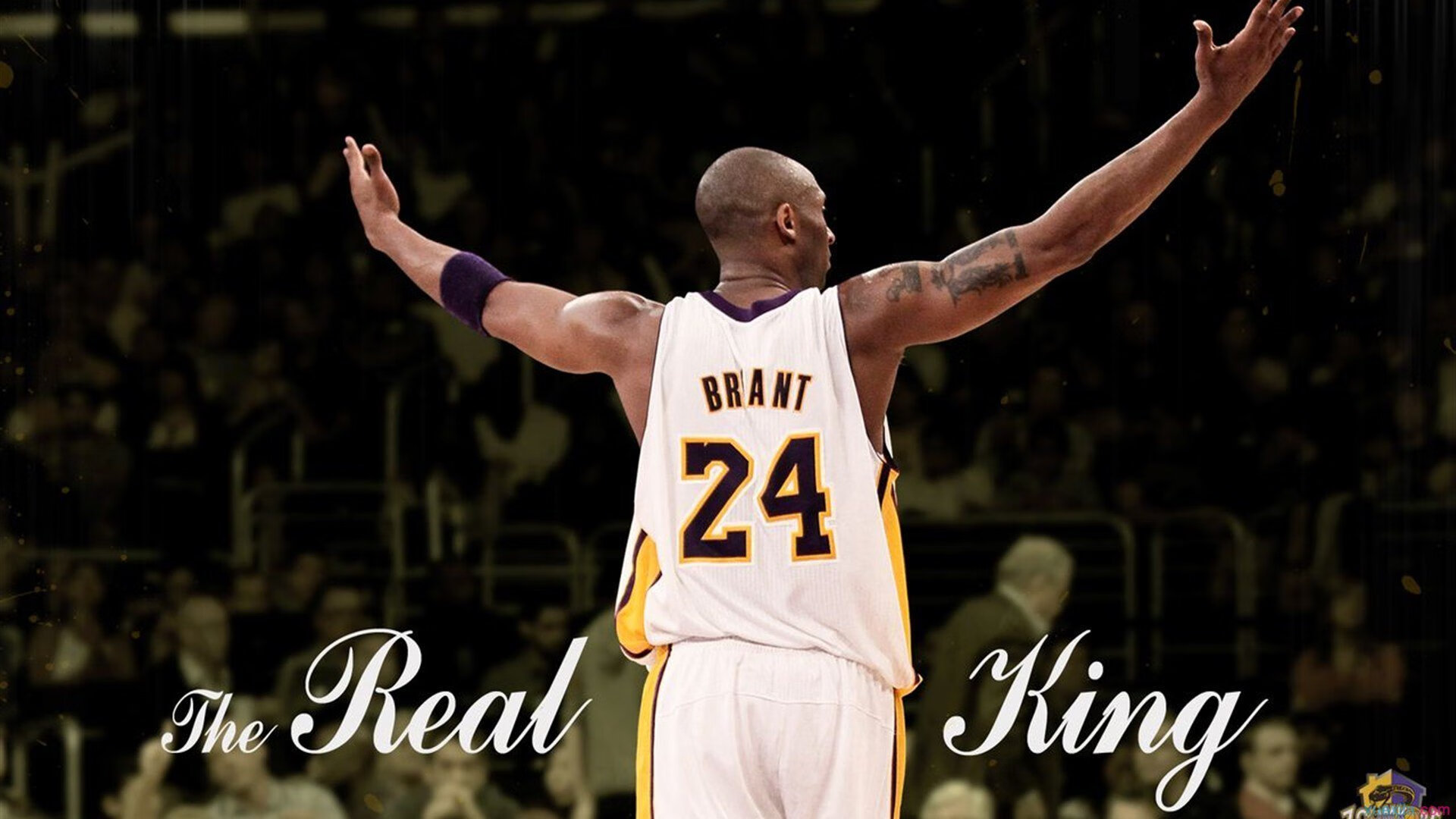 双城记，欧冠烽火映照下，上海男篮的伊斯坦布尔之夜